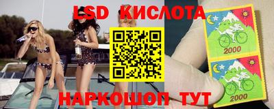spice Майкоп