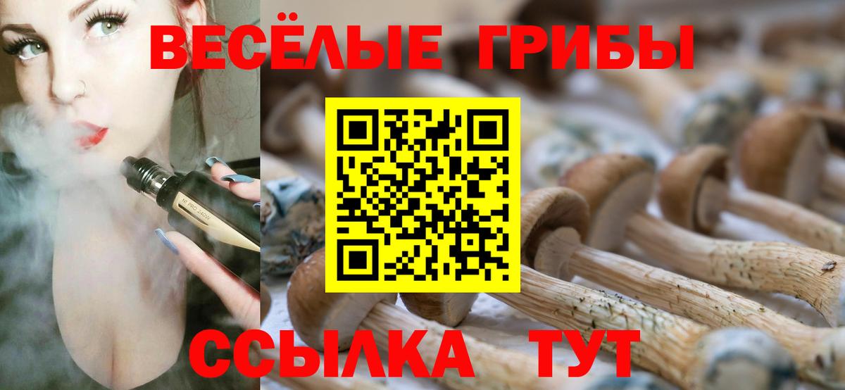 Гагарин  Галлюциногенные грибы прущие грибы  Псилоцибиновые грибы Psilocybine cubensis  Вход с VPN 